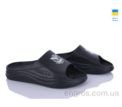 Шлепки Golden Lion